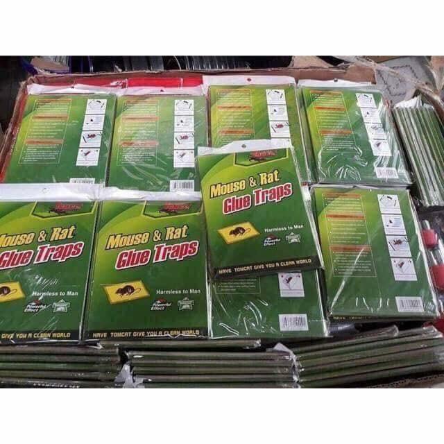 Keo dính chuột GLUE TRAPS siêu tiẹn dụng