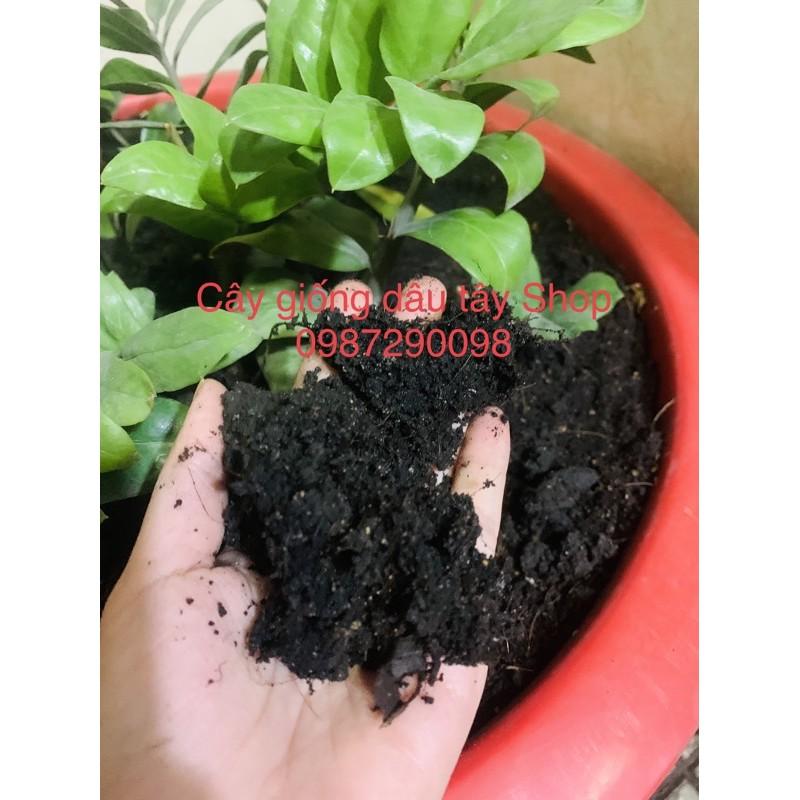 Đất sạch hữu cơ đa dụng Organic Soil Lavamix 20dm3