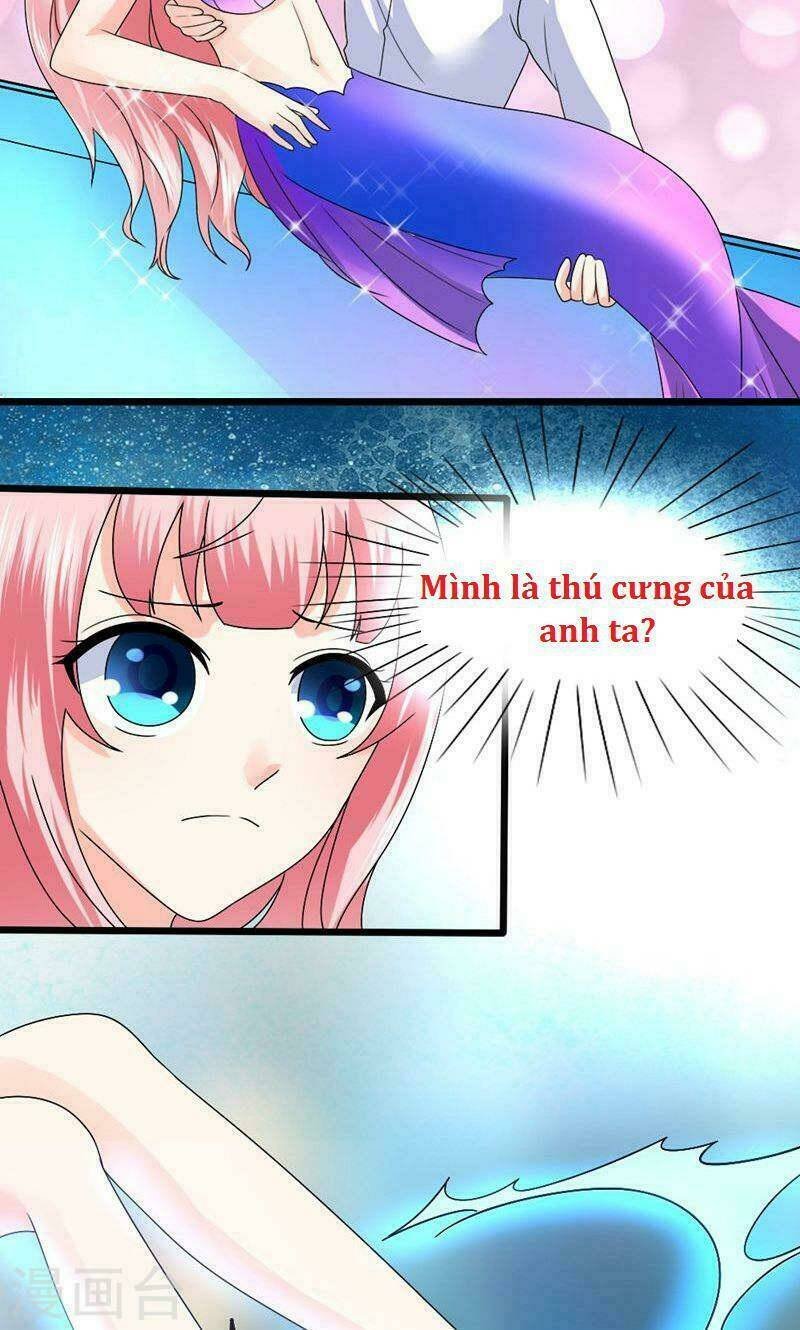 sủng vật người cá của tổng tài chapter 4 7