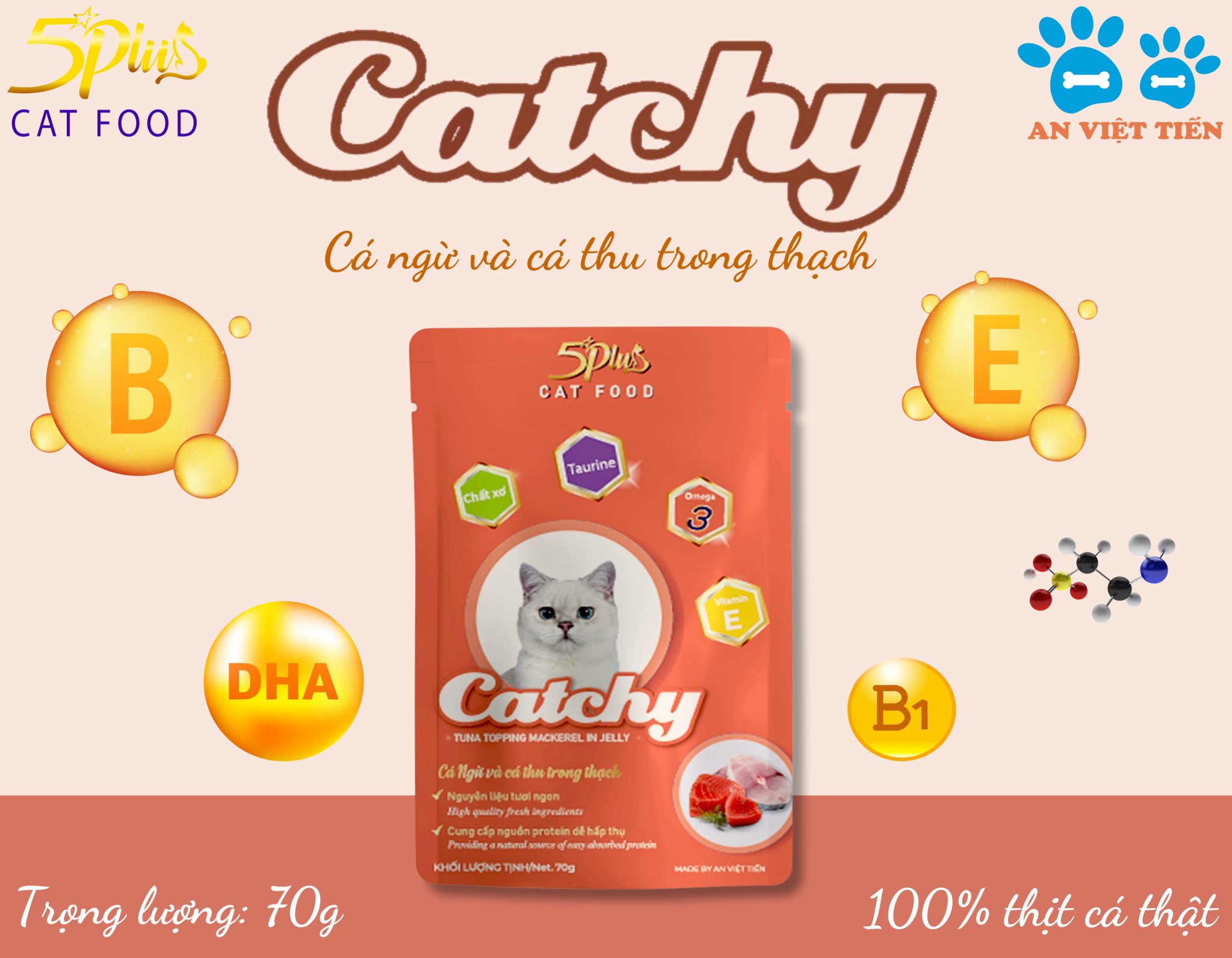 Pate cho mèo mọi lứa tuổi CATCHY 5PLUS CAT FOOD _ THÙNG 48 túi 70g mix vị