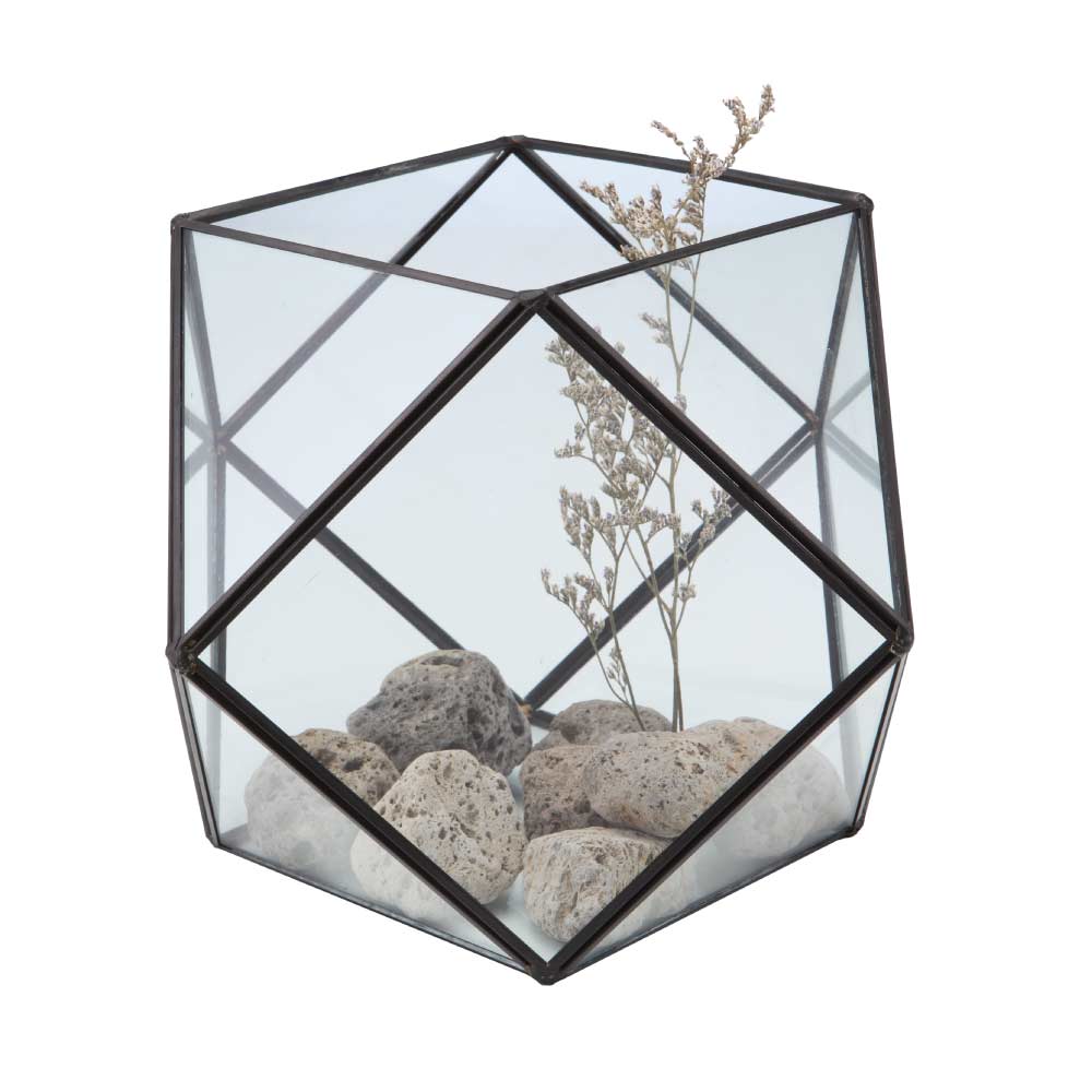 Cây Tiểu Cảnh TERRARIUM-A  Index Living Mall