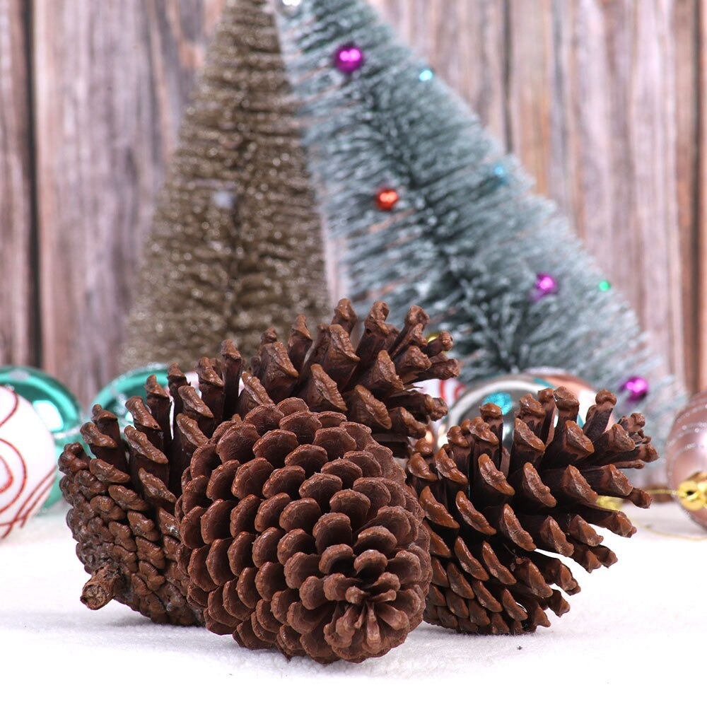 Quả thông khô trang trí Noel - Cây giả, hoa lụa trang trí nhà cửa