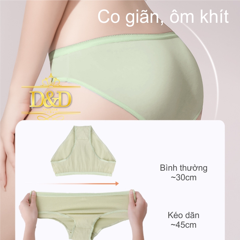Combo 7 quần lót cotton nữ nhiều màu du lịch dùng 1 lần