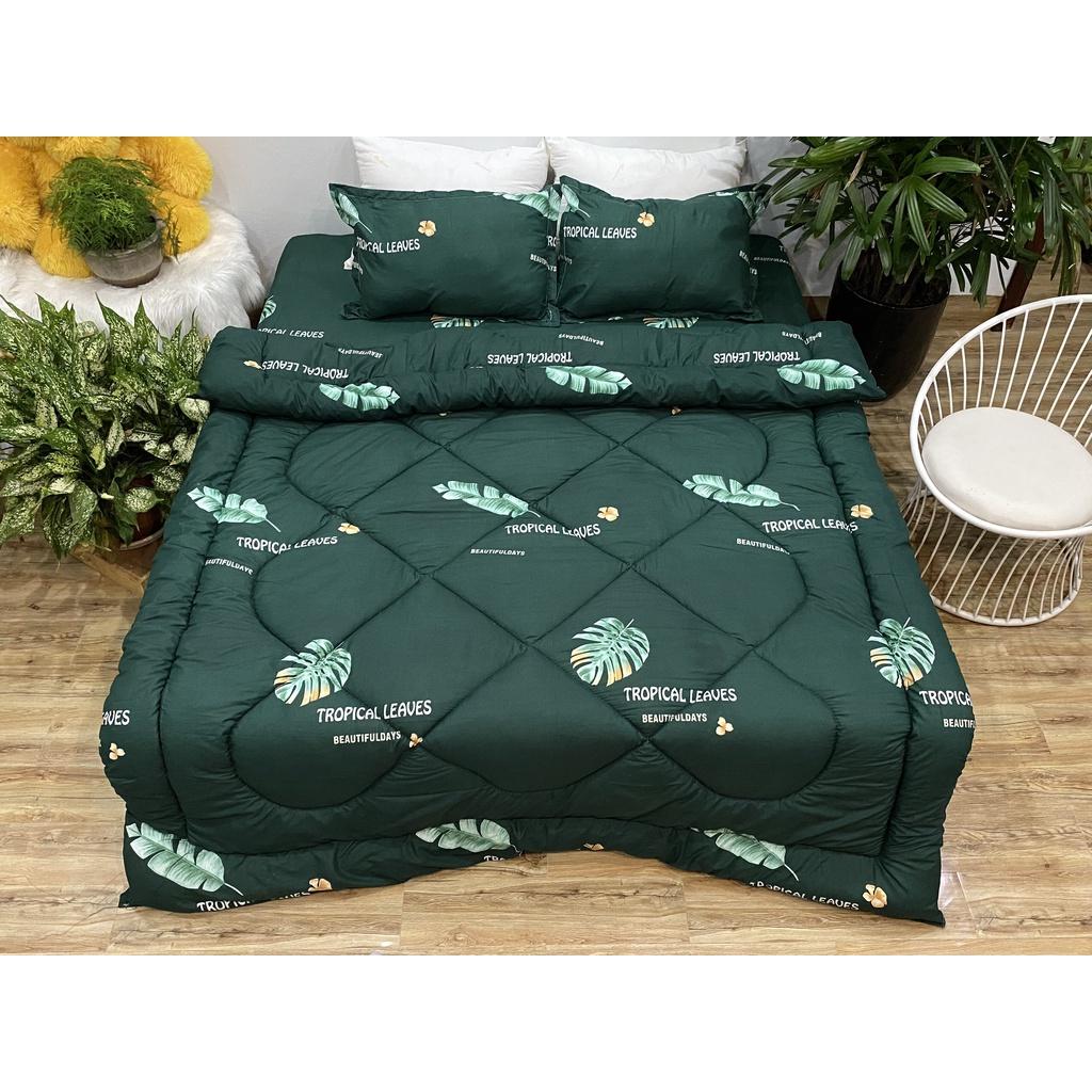 Set phao 5 món siêu rẻ