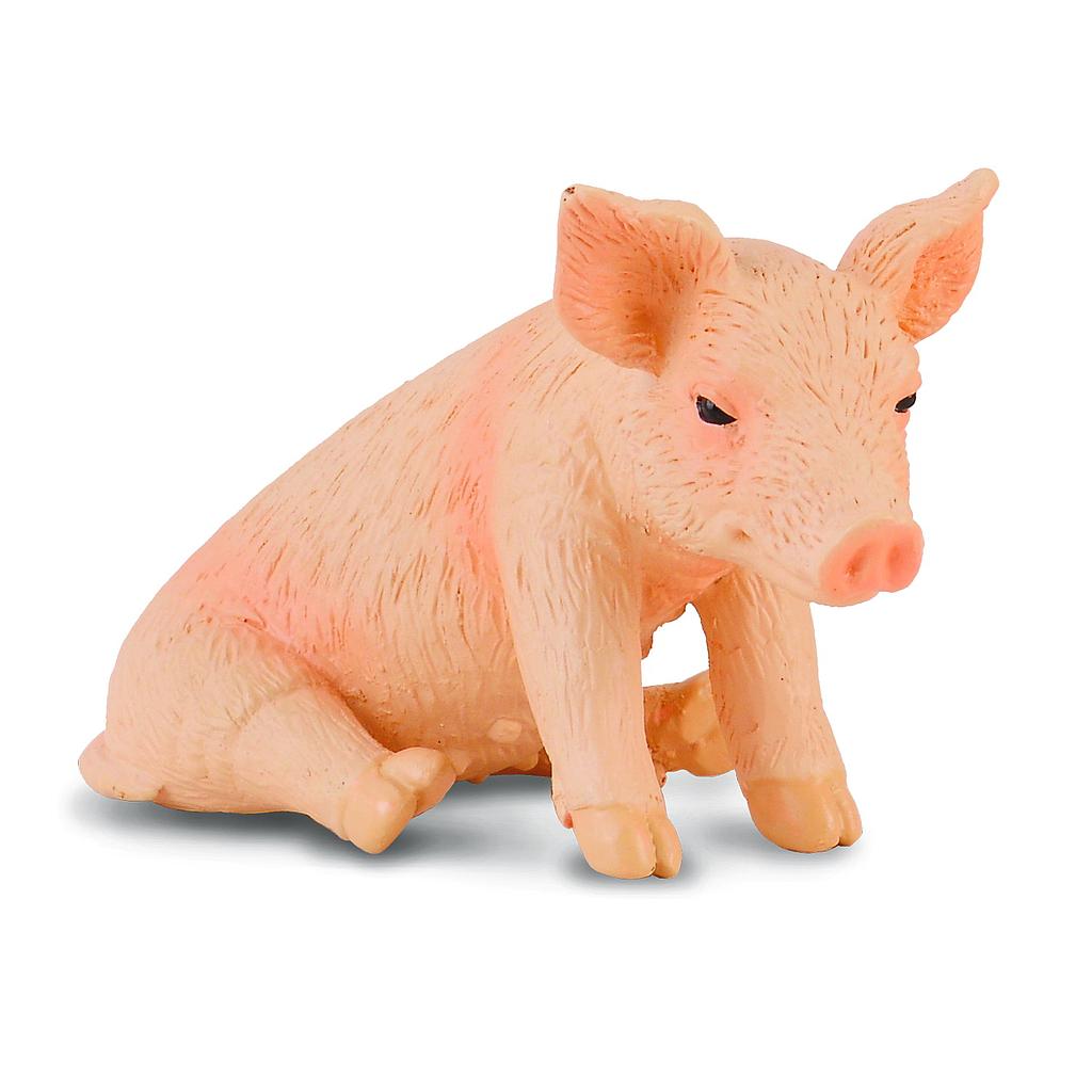 Mô hình thu nhỏ: Lợn con - Ngồi - Piglet Sitting, hiệu: CollectA, mã HS 9650041 - Chất liệu an toàn cho trẻ - Hàng chính hãng