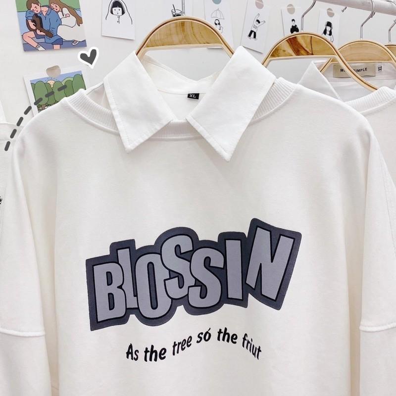 Áo Sweater Nỉ BLOSSIN Unisex