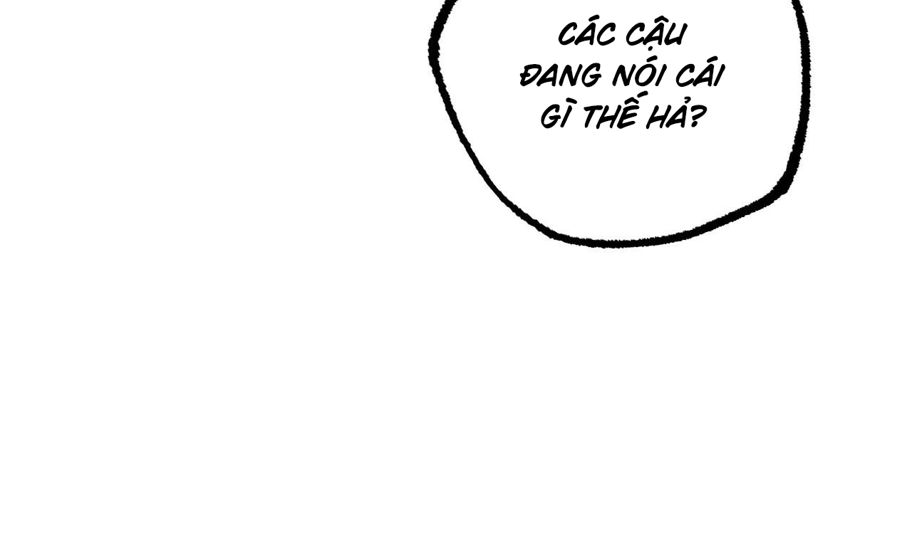 những chú thỏ của hapypy chapter 51 156