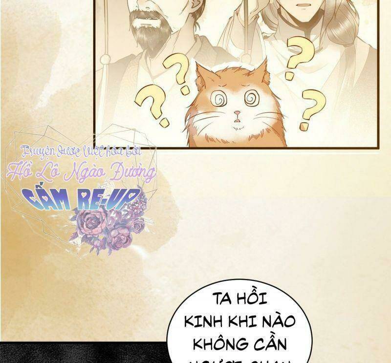 sát thủ vương phi không dễ chọc chapter 36 33