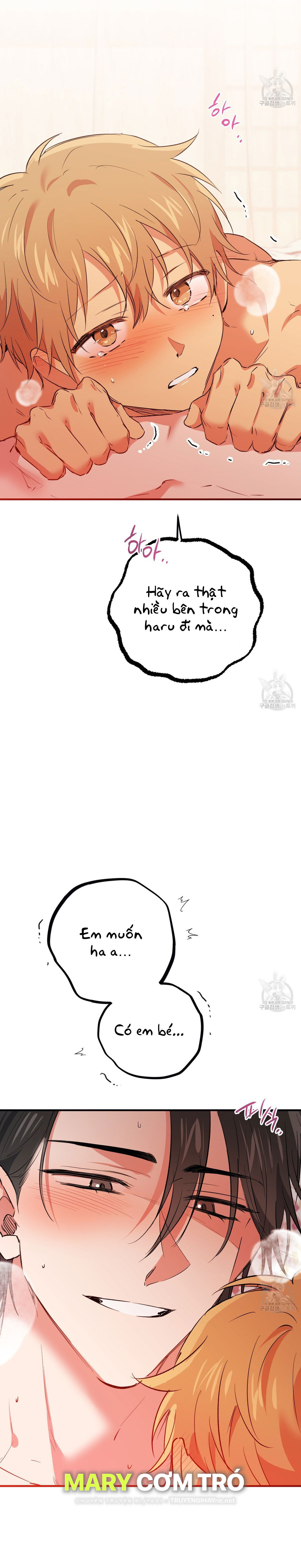 những chú thỏ của hapypy chapter 64.1 8