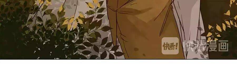 ngôi sao vụn vỡ chapter 30 40