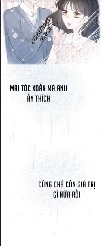 nỗi buồn của hoa cẩm tú cầu chapter 39 4