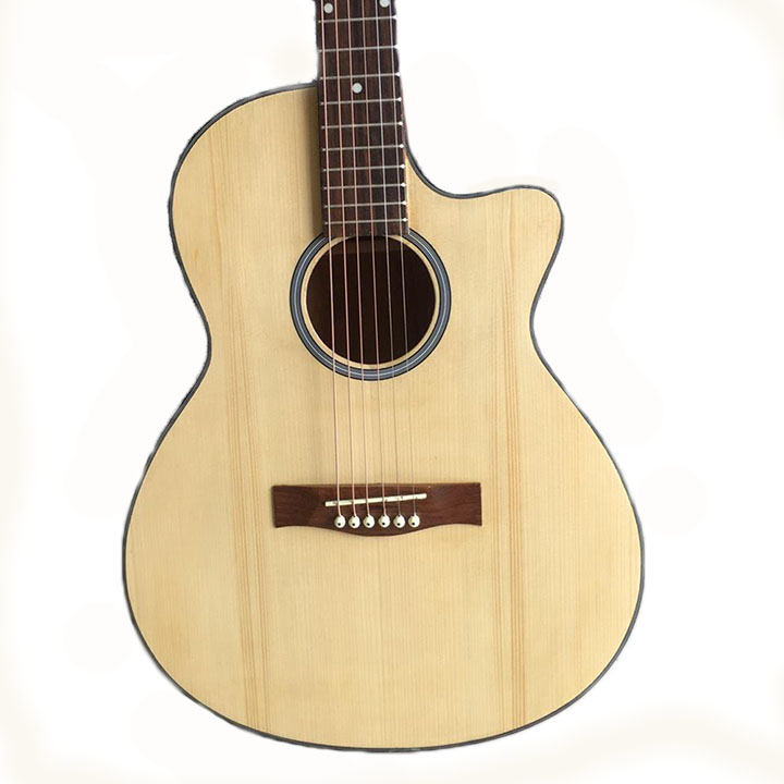 Đàn guitar acoustic cho người mới tập SV650A