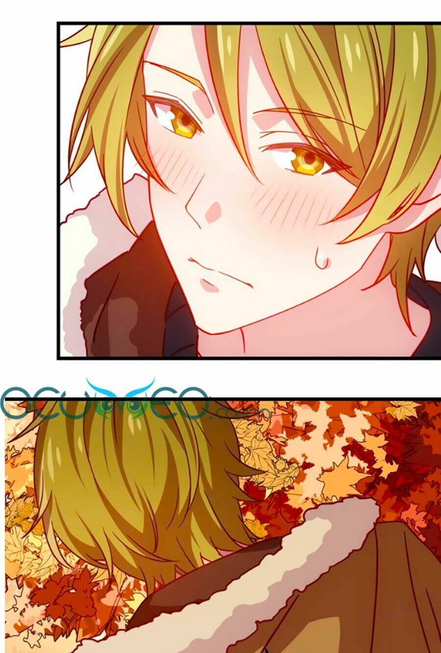 bài hát tình yêu chapter 11 2