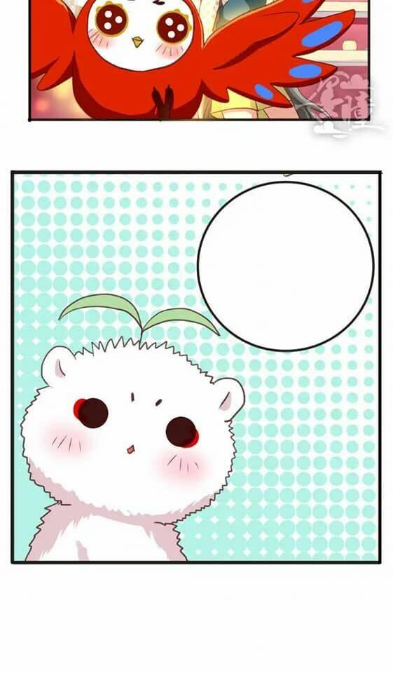 tân quang thiên chapter 11 21