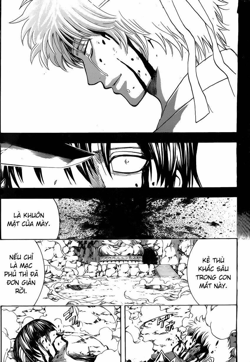 gintama - linh hồn bạc chapter 520 12