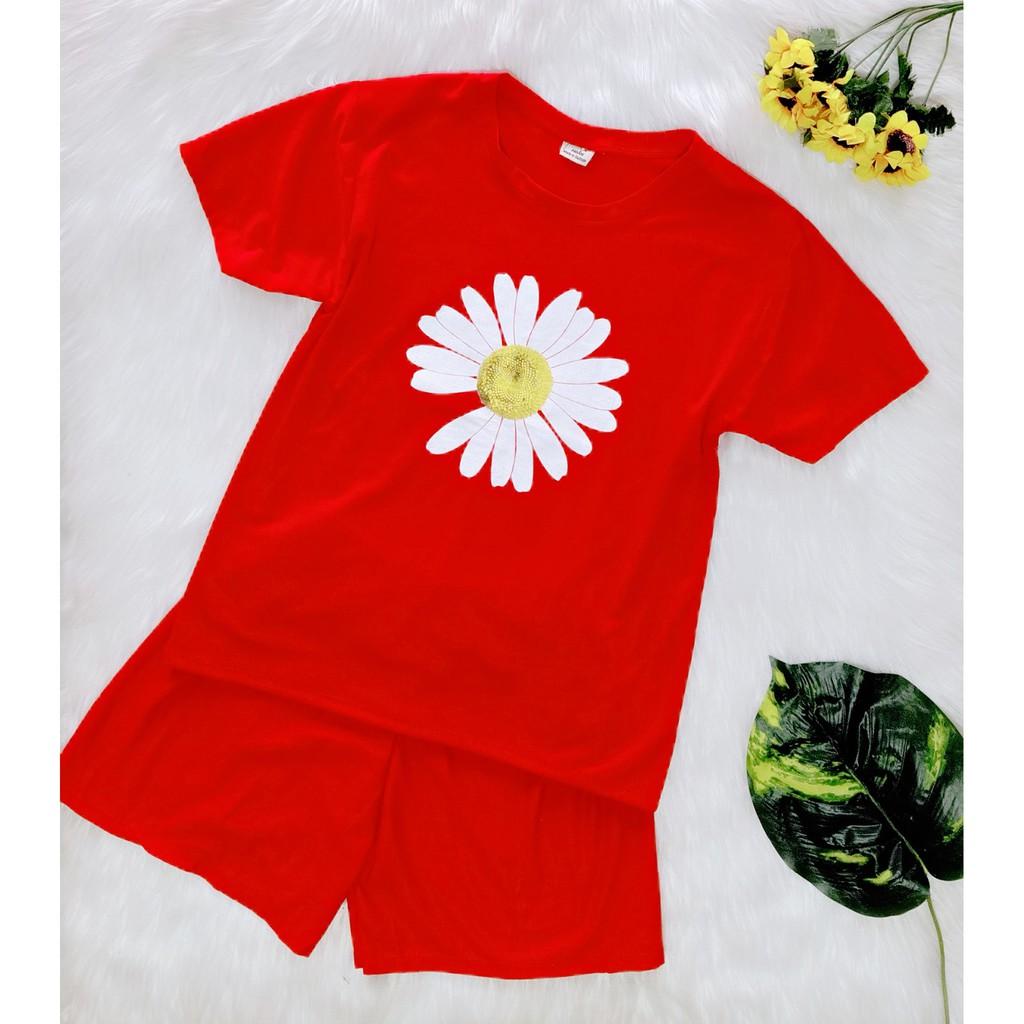 Xả rẻ bộ cotton đùi nữ - 37 đến 55kg - ẢNH THẬT