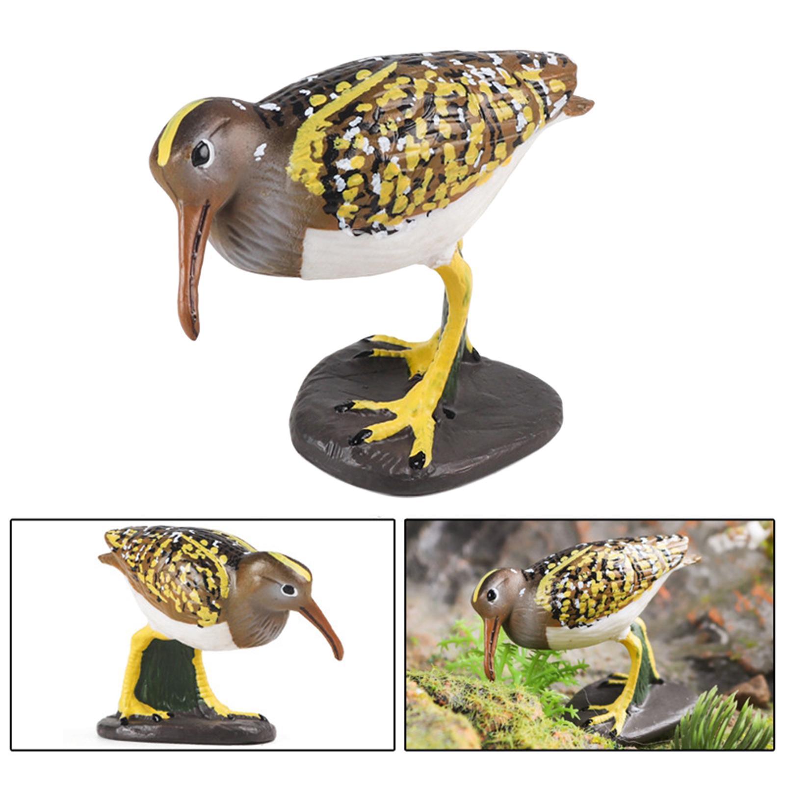 Durable Bird Figurine Ornament Fine Workmanship Bird Statue for Bookshelf Desktop