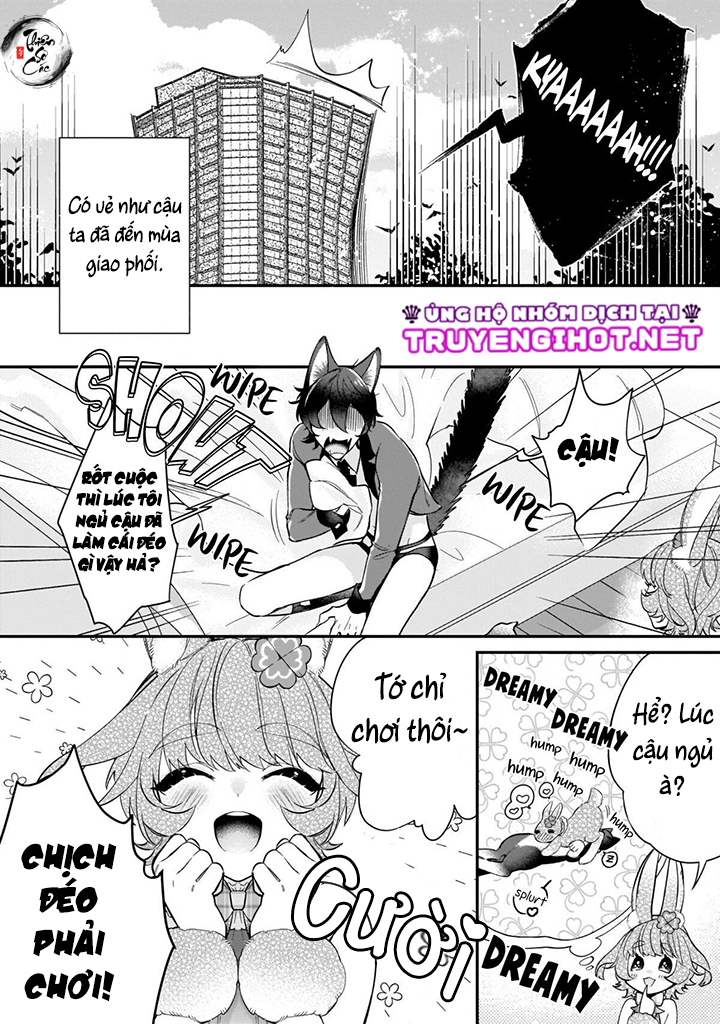 [ 18+ ] thỏ và mèo?! chapter 1 6