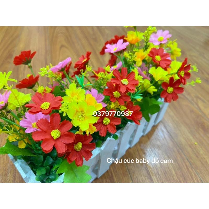 Chậu hàng rào gỗ cắm sẵn hoa decor