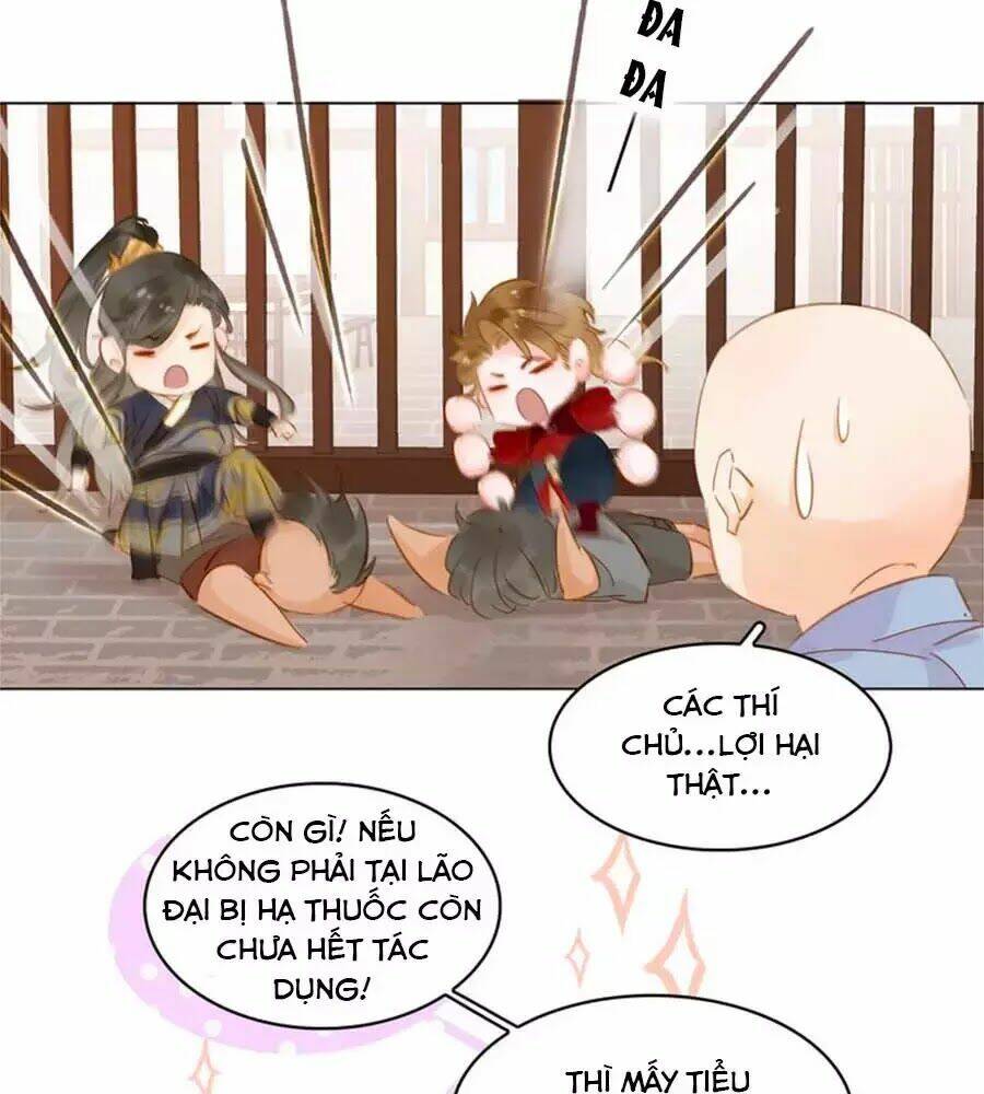 tiểu sư phụ, tóc giả của ngài rơi rồi! chapter 24 31