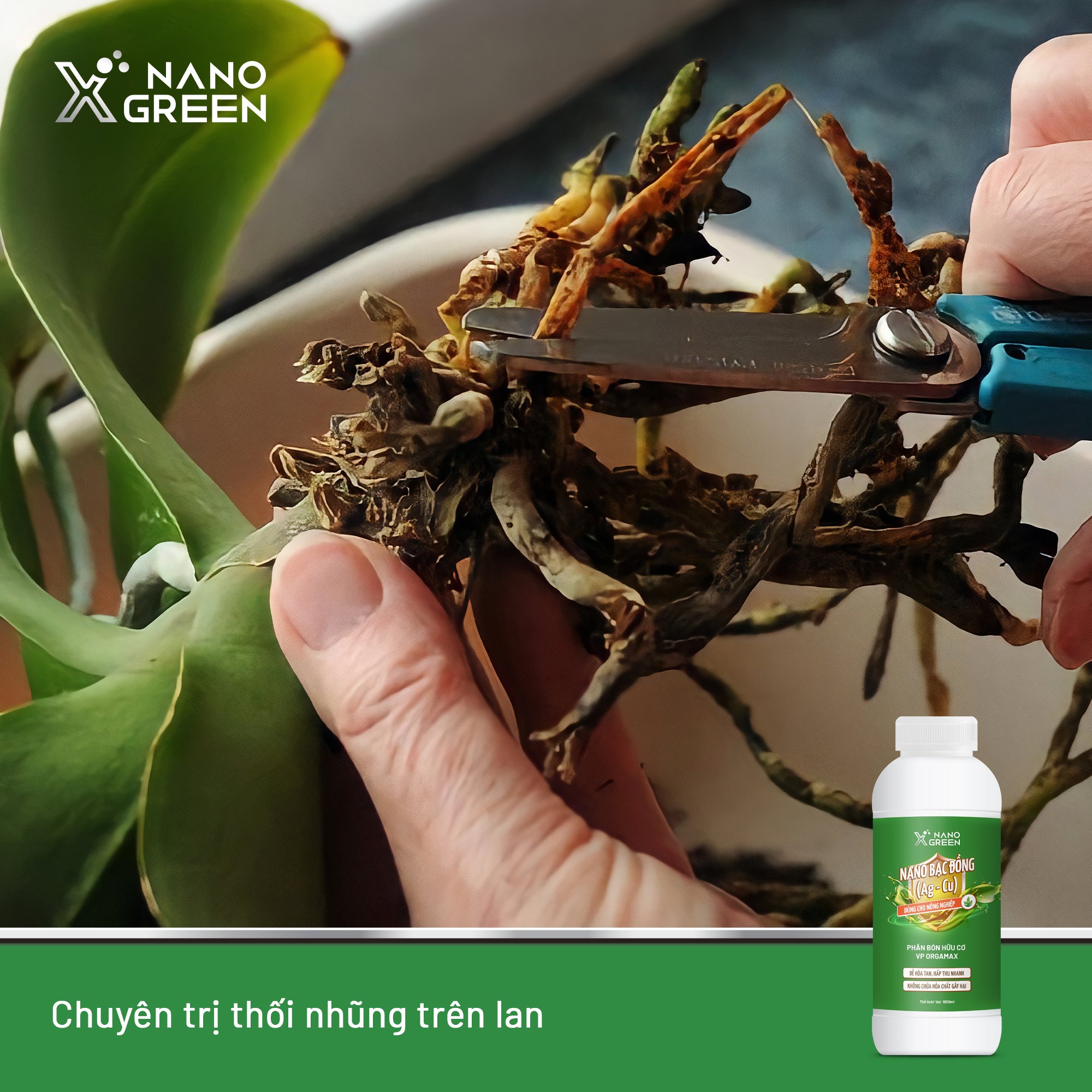 NANO BẠC ĐỒNG (Ag-Cu) PHÂN BÓN NANO XGREEN NÔNG NGHIỆP 1000ML HẠN CHẾ NẤM, KHUẨN, BỆNH VÀNG LÁ, THỐI RỄ, XÌ MỦ THÂN-AHT CORP