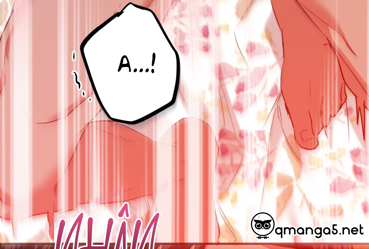 đàn thỏ của habibi chapter 64 62