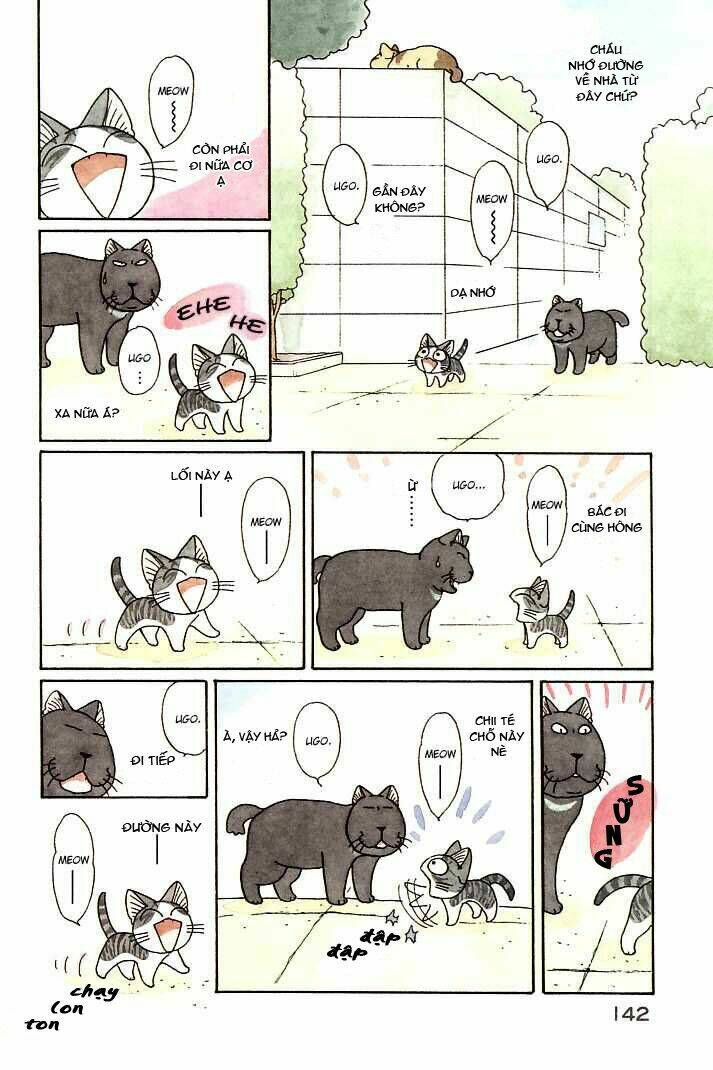 chi's sweet home chapter 92 4