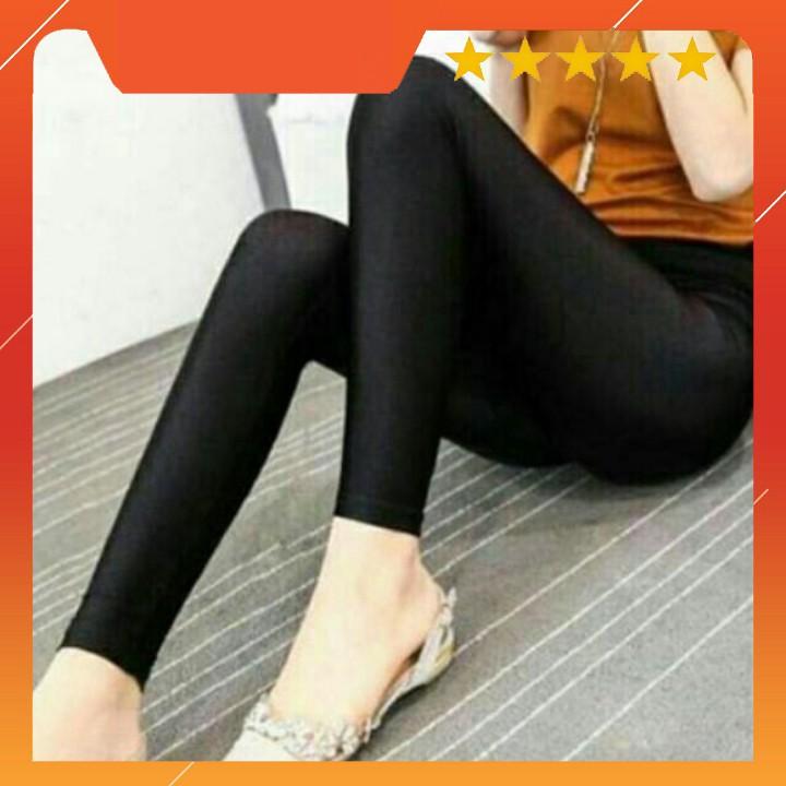 Quần legging popular túi gấu xinh