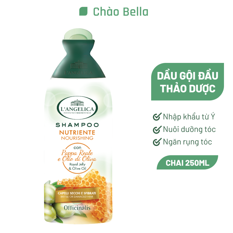 Dầu Gội Phục Hồi Và Nuôi Dưỡng Tóc Hư Tổn Langelica Shampoo Nourishing for Brittle and Damaged Hair 250ml