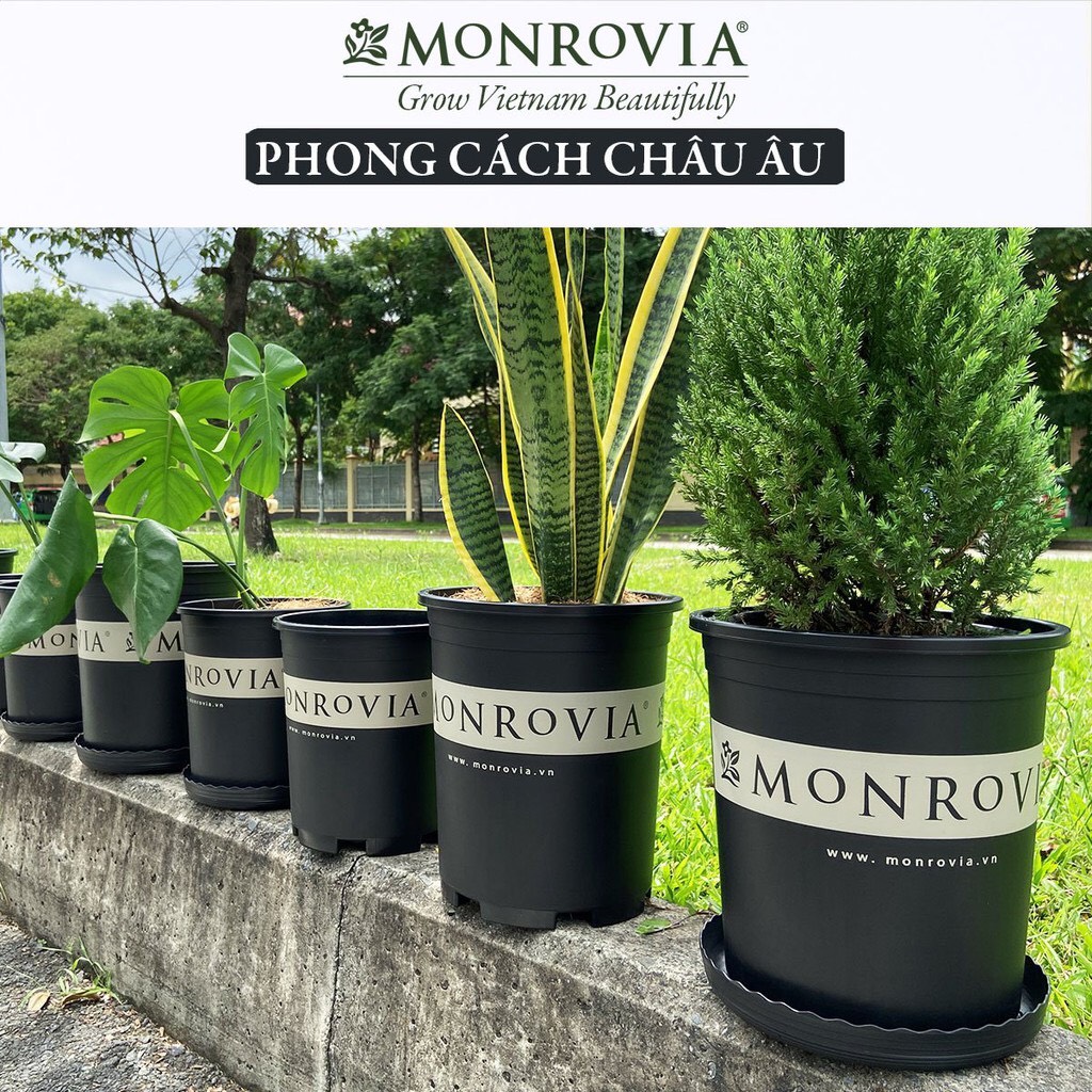 Chậu nhựa trồng cây MONROVIA màu đen, để bàn, treo ban công, ngoài trời, sân vườn, tiêu chuẩn Châu Âu