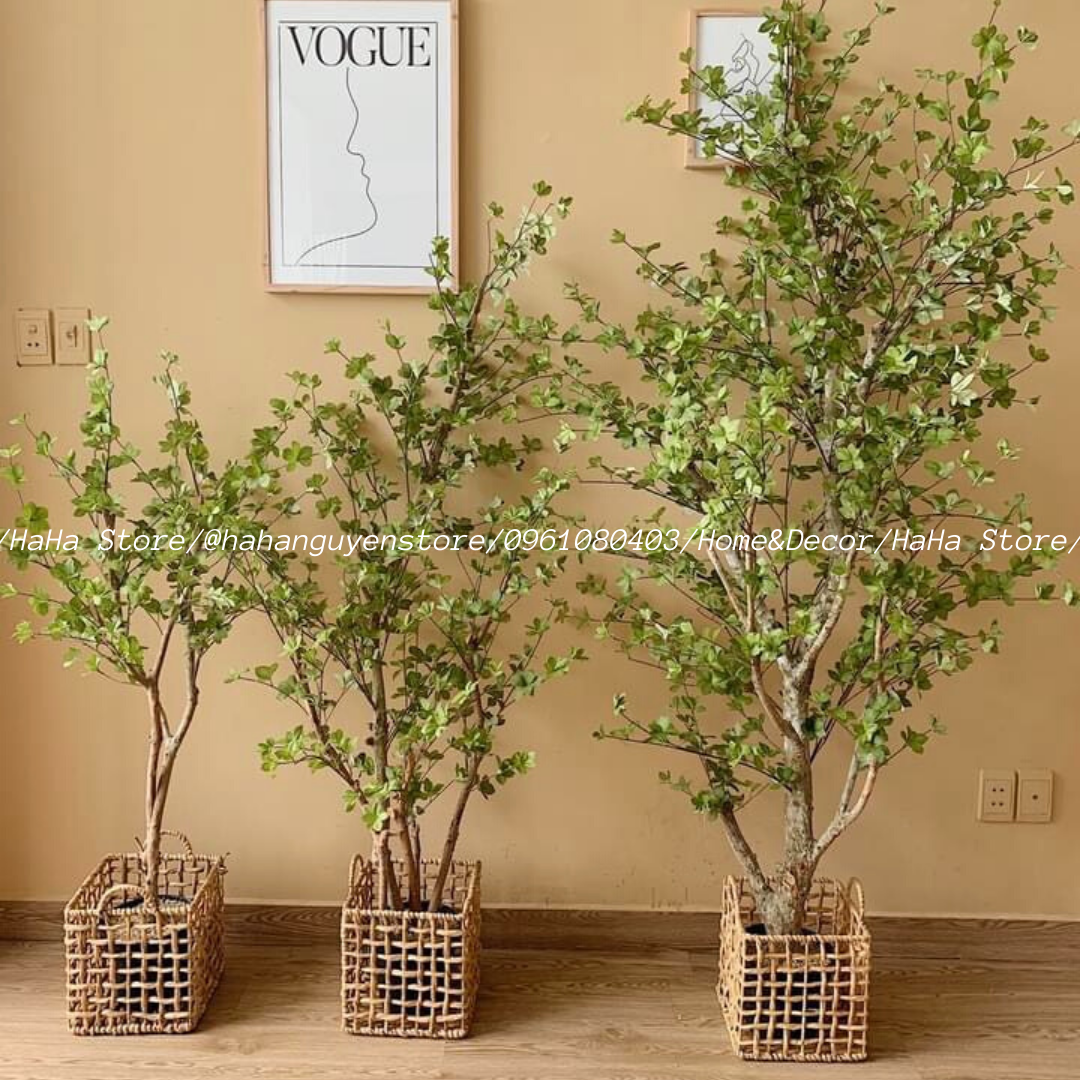 Giỏ Lục Bình Vuông DECOR Cây Cảnh - Giỏ đựng đồ đa năng GLB02