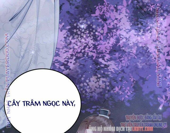 trọng sinh bá sủng nhiếp chính vương quá mạnh mẽ chapter 152 68