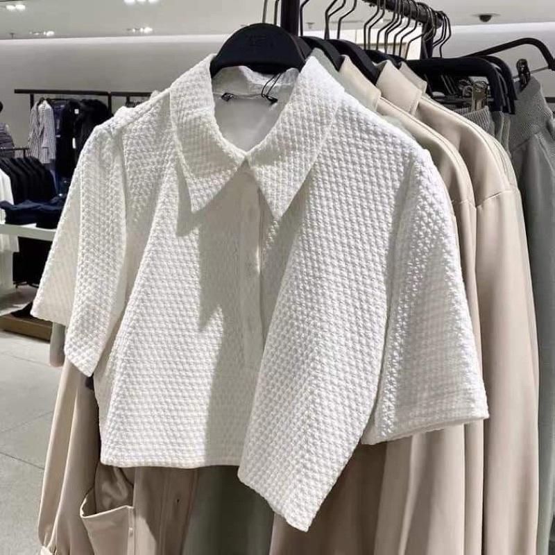 Áo croptop cổ bẻ chất tổ ong HS6