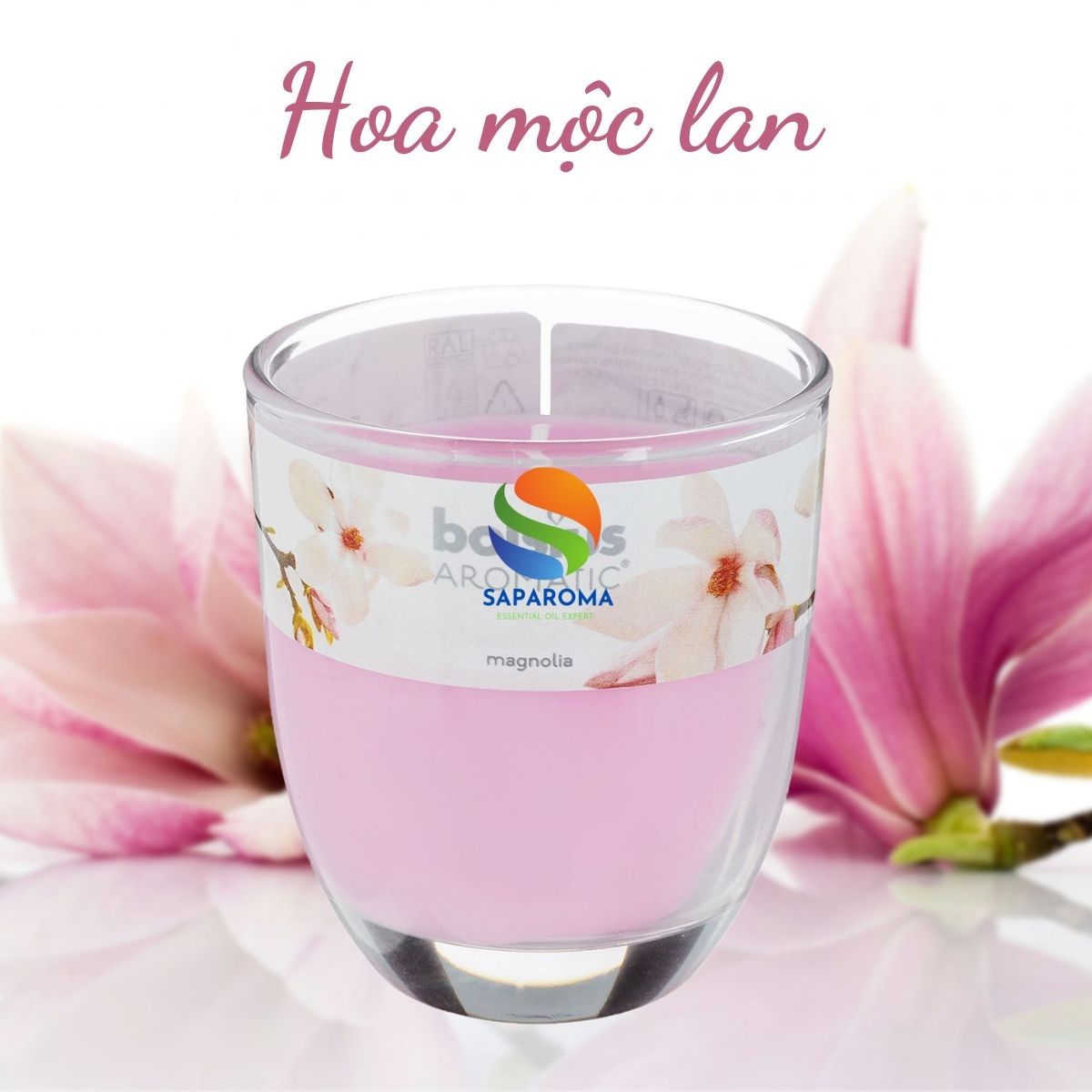 Ly nến thơm tinh dầu Bolsius Magnolia 105g QT024332 - hoa mộc lan, nến trang trí, thơm phòng, thư giãn, hỗ trợ khử mùi