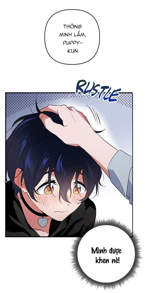 tình yêu cún con chapter 5.1 17