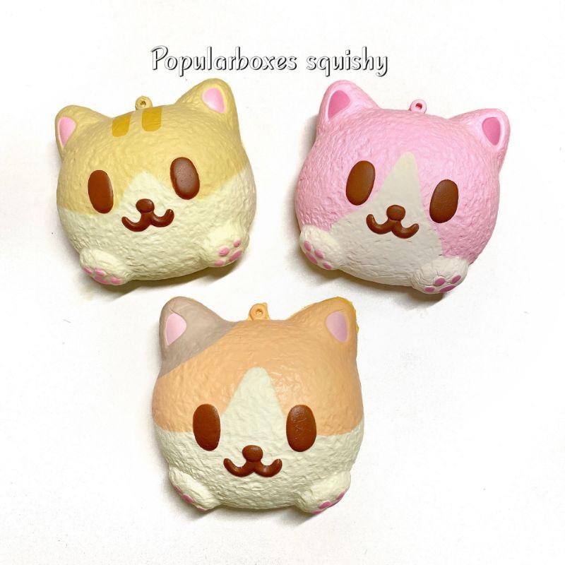 Squishy Mặt Mèo Ibloom size nhỏ (có ảnh khách mua)
