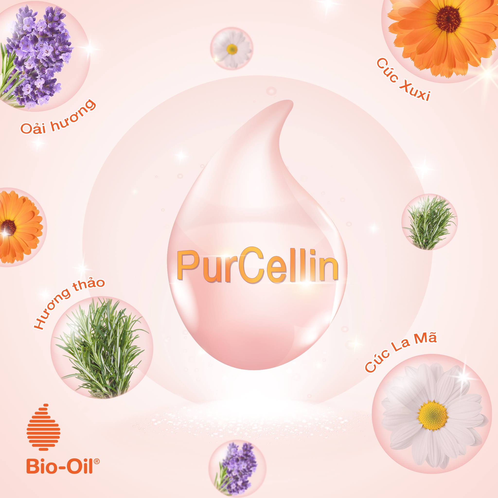 Dầu chăm sóc da giúp cải thiện rạn da, mờ sẹo và đều màu da - BIO-OIL SKINCARE OIL