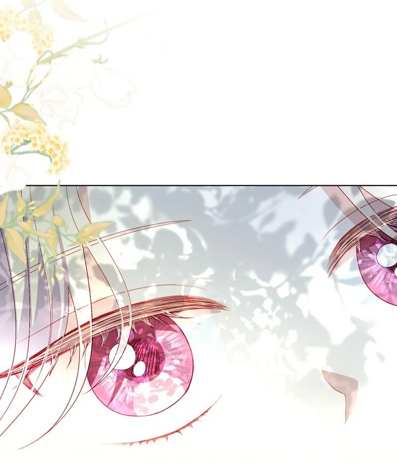 papa của tôi đã xuất hiện chapter 47 75