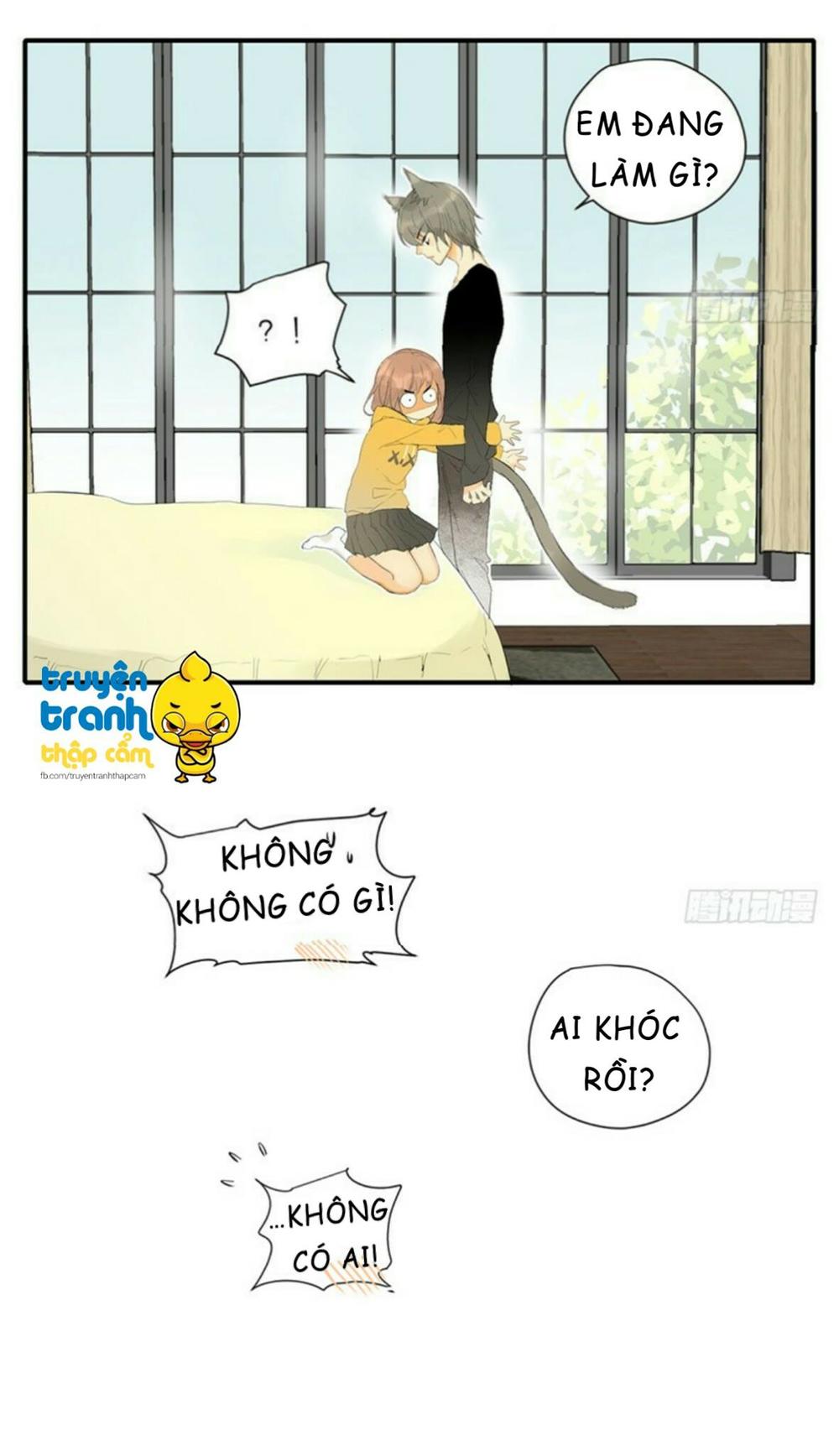 cứu mạng ! loài mèo thống trị thế giới rồi ! chapter 34 34