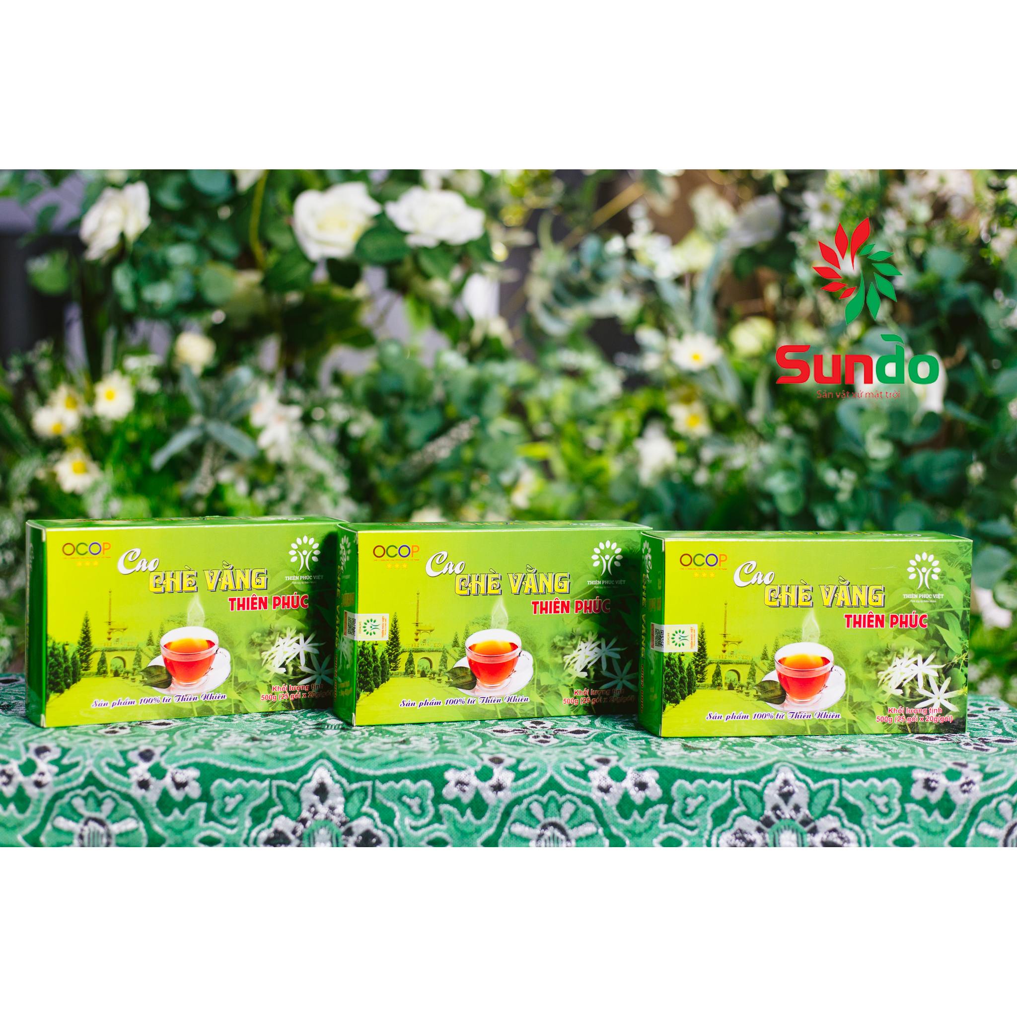 Cao chè vằng Thiên Phúc