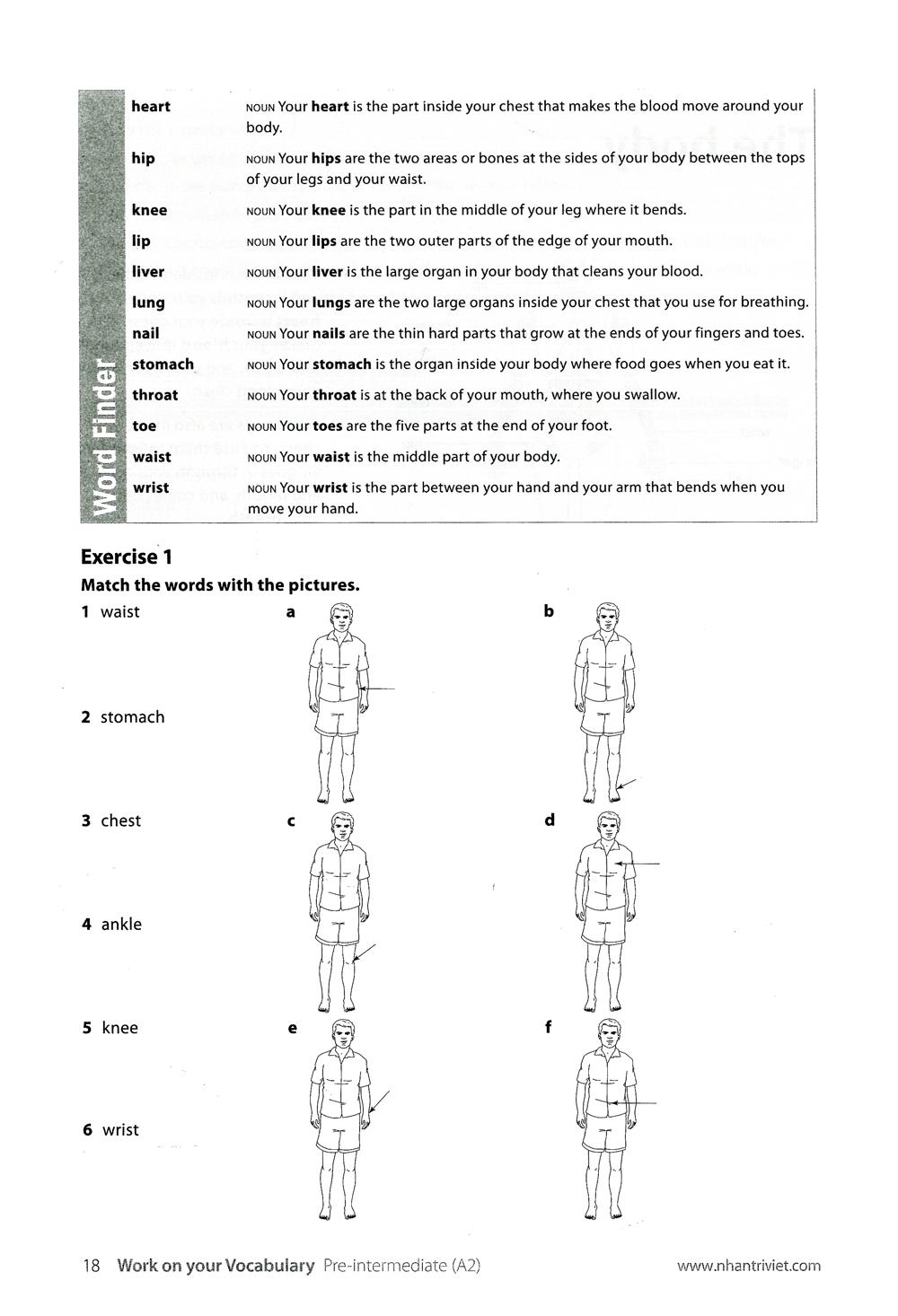 Sách Work On Your Vocabulary A2 - Pre-Intermediate (Tái Bản) - ảnh 3