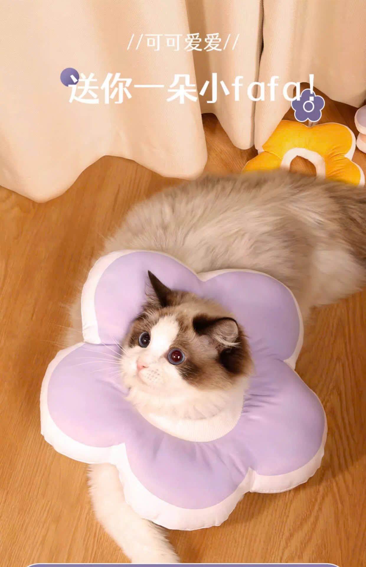 VÒNG CỔ THÚ CƯNG VÒNG CỔ LOA CHỐNG LIẾM CHO THỎ CHÓ MÈO BÔNG HOA DỄ THƯƠNG TỪ 0.5-5.5KG MÃ 10 CHO CHÓ MÈO THỎ