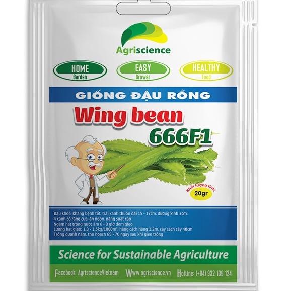 Hạt Giống Đậu rồng Wing bean 666F1