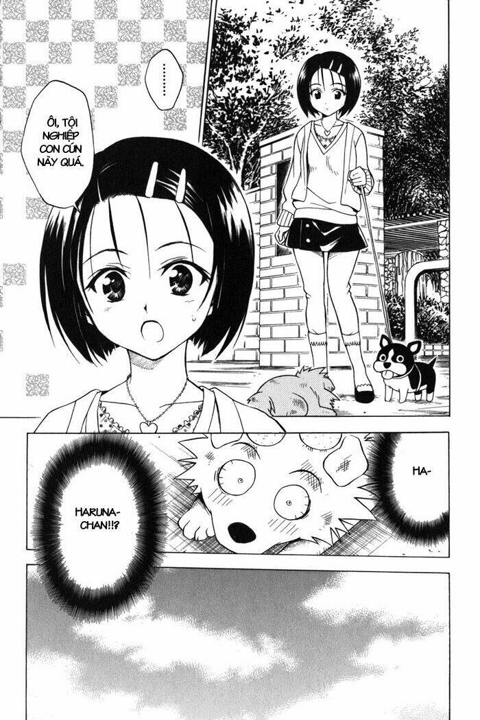 bọn tớ thích cậu! rito chapter 43 17