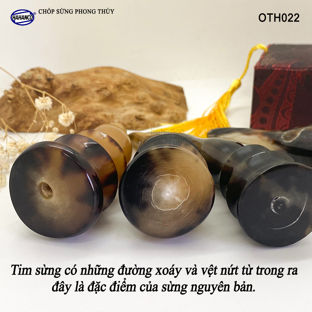 Chóp sừng bò Châu Phi vật phẩm phong thủy giàu sang/phú quý/may mắn - Bày bàn làm việc hoặc trong nhà