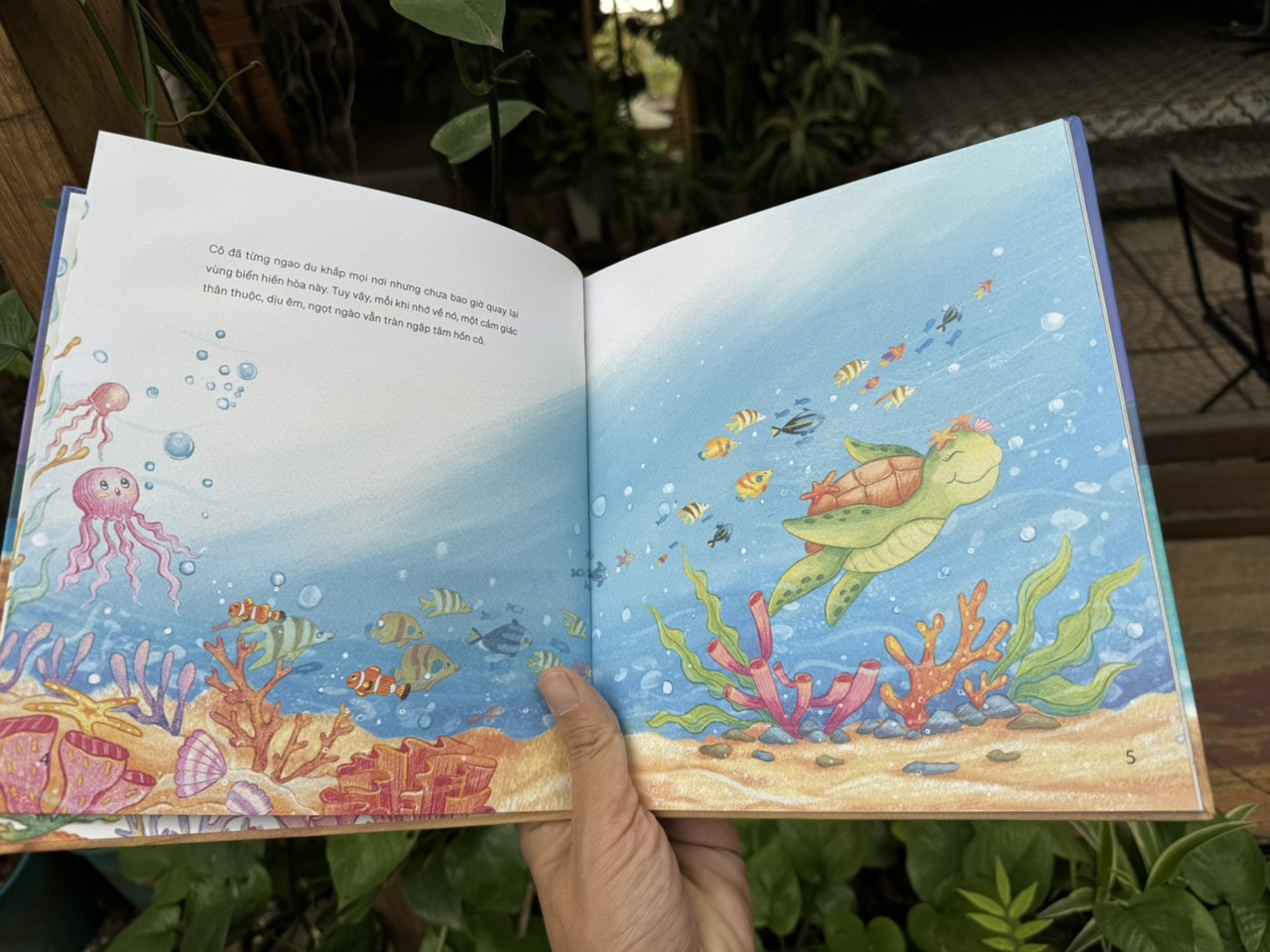 CHUYỆN MẸ RÙA - Hương Thảo - Lion Books