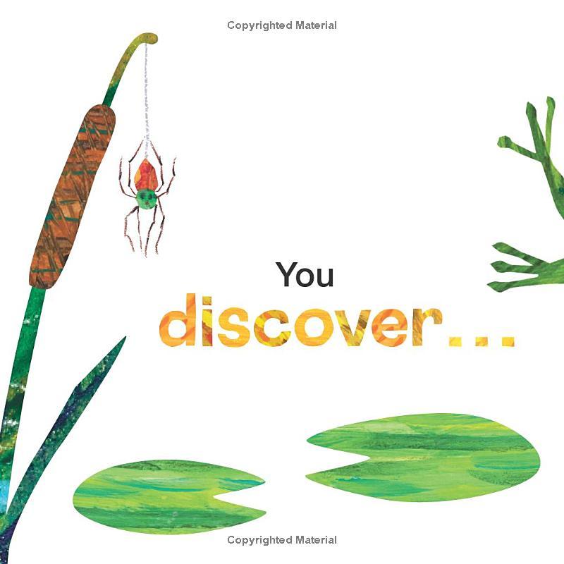 Sách ngoại văn: You're My Busy Little Spider