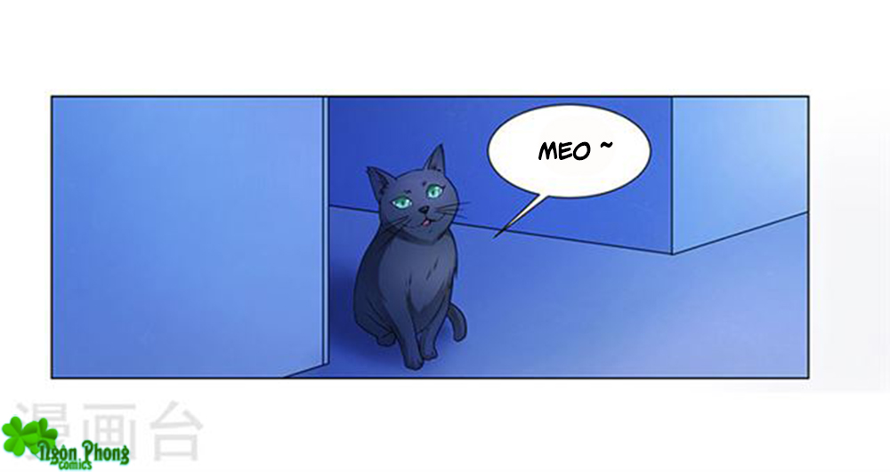 phúc hắc tổng tài đừng tới đây chapter 64 8