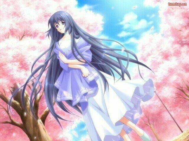 ảnh anime và ảnh wallpaper đẹp chapter 1 8