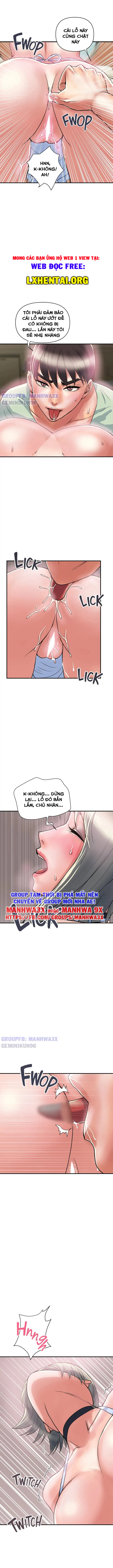 chất dẫn dục chapter 43 7